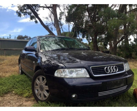 Baguette de calandre inférieure chromée pour Audi A4 série 1 phase 2 9900