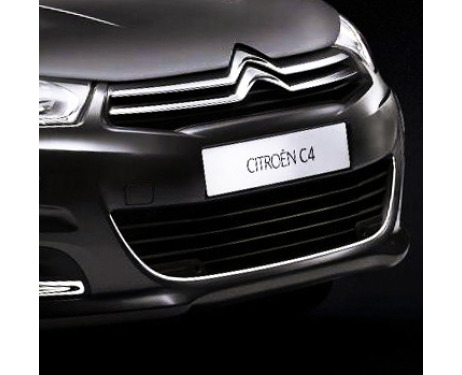 Radiator grill contours chrome trim Citroën C4 1124